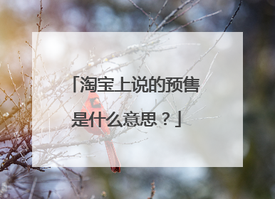 淘宝上说的预售是什么意思?