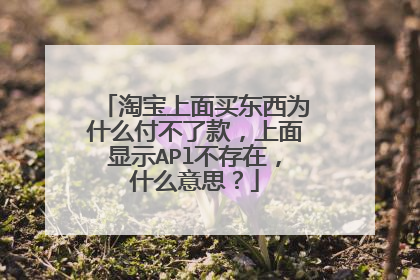 淘宝上面买东西为什么付不了款,上面显示APl不存在,什么意思?