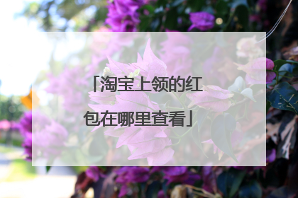 淘宝上领的红包在哪里查看