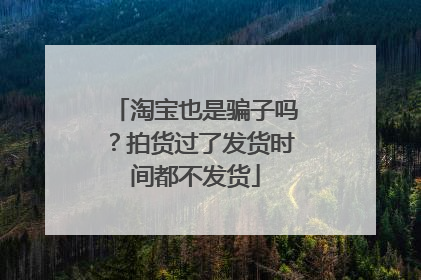 淘宝也是骗子吗?拍货过了发货时间都不发货