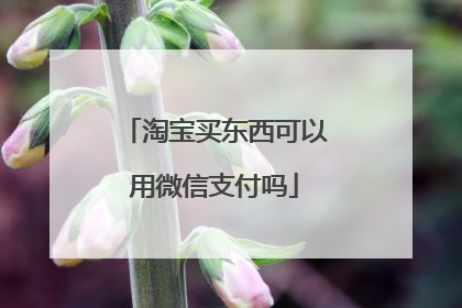 淘宝买东西可以用微信支付吗