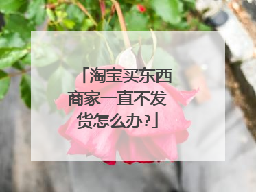 淘宝买东西商家一直不发货怎么办?