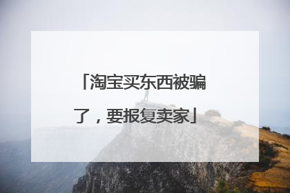 淘宝买东西被骗了，要报复卖家