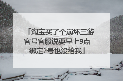 淘宝买了个崩坏三游客号客服说要早上9点绑定?号也没给我