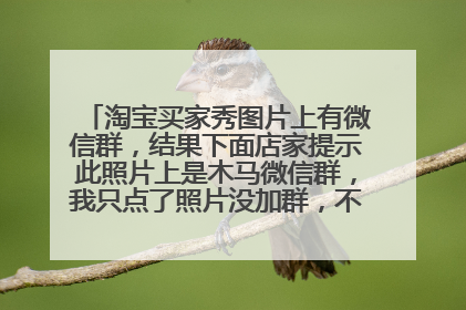 淘宝买家秀图片上有微信群,结果下面店家提示此照片上是木马微信群,我只点了照片没加群,不会中病毒吧?
