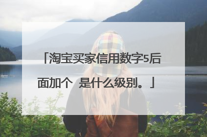 淘宝买家信用数字5后面加个❤是什么级别。