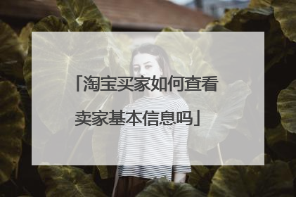 淘宝买家如何查看卖家基本信息吗