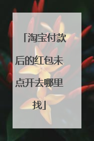 淘宝付款后的红包未点开去哪里找