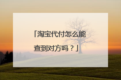 淘宝代付怎么能查到对方吗?