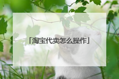 淘宝代卖怎么操作