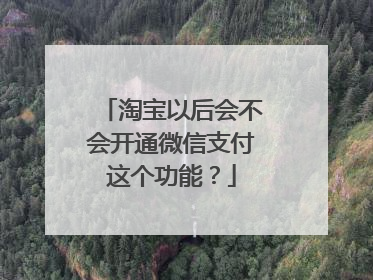 淘宝以后会不会开通微信支付这个功能?