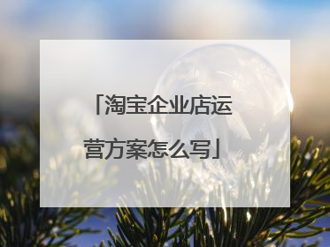 淘宝企业店运营方案怎么写