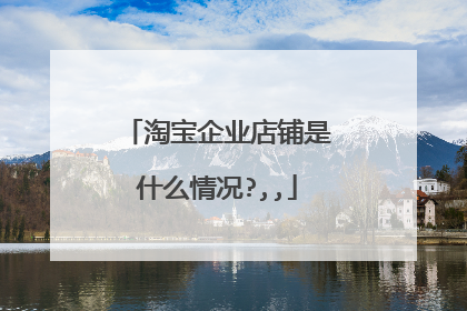 淘宝企业店铺是什么情况?,,