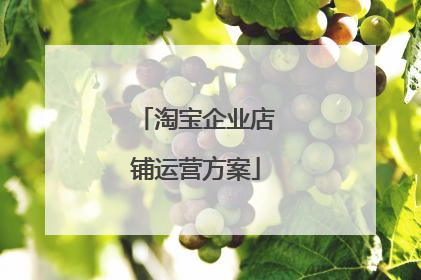 淘宝企业店铺运营方案