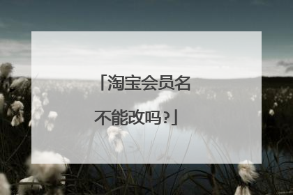 淘宝会员名不能改吗?