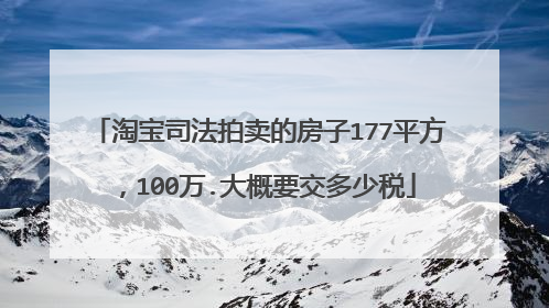 淘宝司法拍卖的房子177平方,100万.大概要交多少税