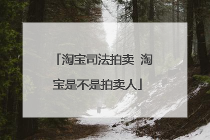 淘宝司法拍卖 淘宝是不是拍卖人