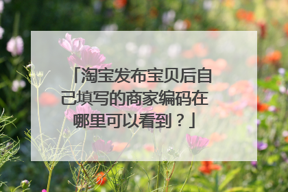 淘宝发布宝贝后自己填写的商家编码在哪里可以看到?