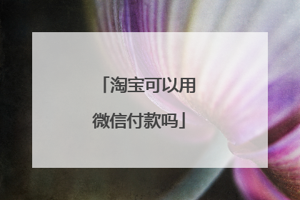 淘宝可以用微信付款吗