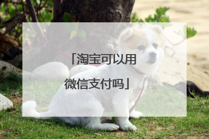 淘宝可以用微信支付吗