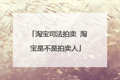 淘宝司法拍卖 淘宝是不是拍卖人