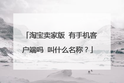 淘宝卖家版 有手机客户端吗 叫什么名称?