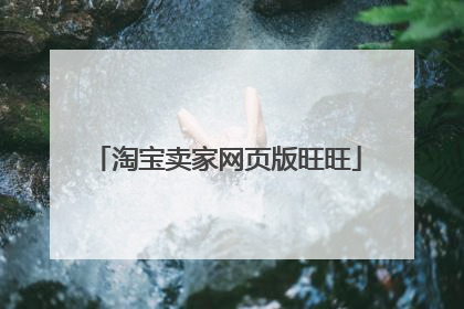 淘宝卖家网页版旺旺