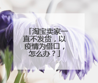 淘宝卖家一直不发货,以疫情为借口,怎么办?
