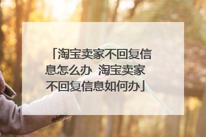 淘宝卖家不回复信息怎么办 淘宝卖家不回复信息如何办
