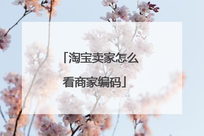 淘宝卖家怎么看商家编码