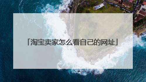 淘宝卖家怎么看自己的网址