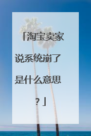 淘宝卖家说系统崩了是什么意思?