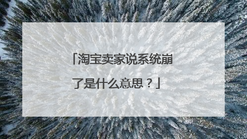淘宝卖家说系统崩了是什么意思?