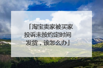 淘宝卖家被买家投诉未按约定时间发货，该怎么办