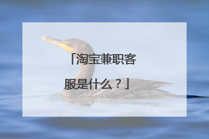 淘宝兼职客服是什么？
