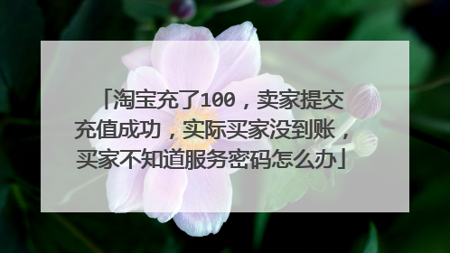 淘宝充了100,卖家提交充值成功,实际买家没到账,买家不知道服务密码怎么办