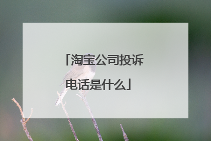 淘宝公司投诉电话是什么