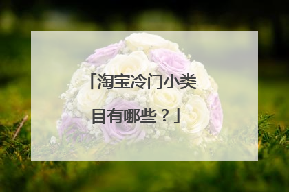 淘宝冷门小类目有哪些?