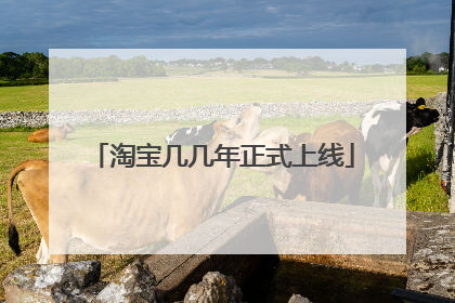 淘宝几几年正式上线