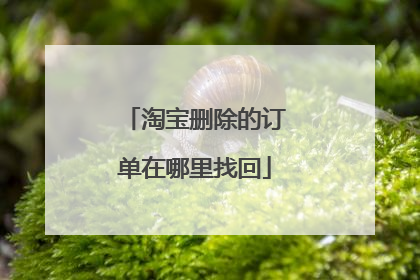 淘宝删除的订单在哪里找回