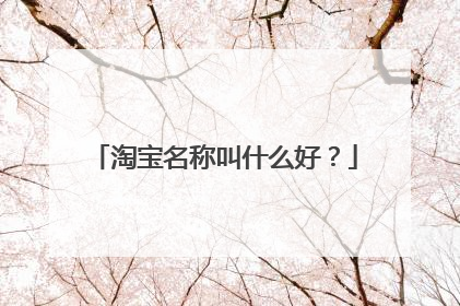 淘宝名称叫什么好?