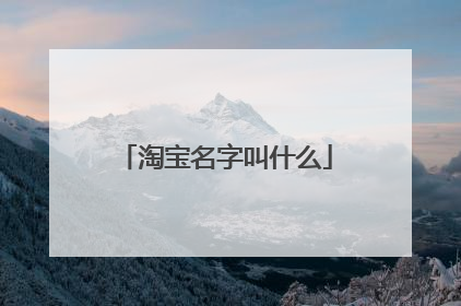 淘宝名字叫什么
