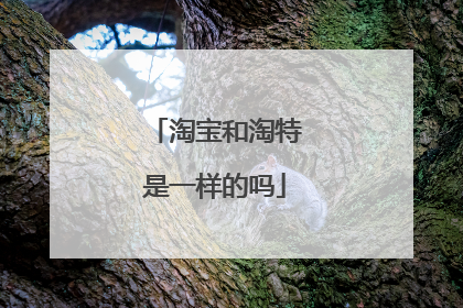 淘宝和淘特是一样的吗