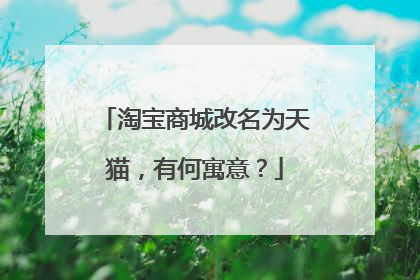 淘宝商城改名为天猫,有何寓意?