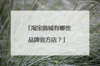 淘宝商城有哪些品牌官方店?