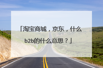 淘宝商城,京东,什么b2b的什么意思?