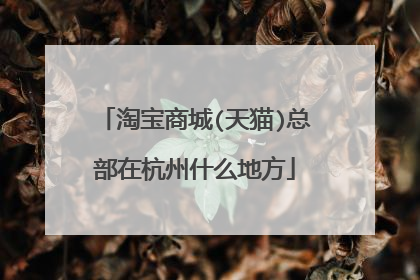 淘宝商城(天猫)总部在杭州什么地方