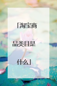 淘宝商品类目是什么