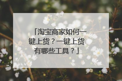 淘宝商家如何一键上货?一键上货有哪些工具?