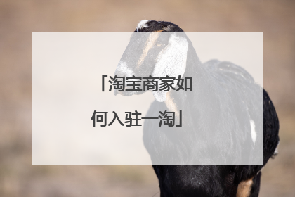淘宝商家如何入驻一淘